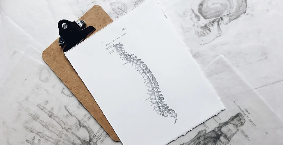 Spine Osteopathic Assessment